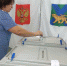 Выборы губернатора состоялись, но не совсем - Газета Выбор