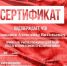 Студенты колледжа и института приняли участие в международной акции «Тест по истории Великой Отечественной войны» - Филиал ВГУЭС в г. Артёме