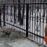 впнопно.png - Администрация Артёмовского городского округа