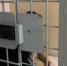 В Артеме вынесен приговор обвиняемому в совершении разбойного нападения - ОМВД по Артему 