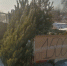 JPG Файл - ОМВД по Артему 