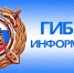 Госавтоинспекция региона разъясняет гражданам порядок предоставления в полицию фактов нарушений Правил дорожного движения - Дума городского округа