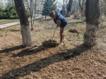 Больше 130 кубометров мусора собрали во время городского субботника.