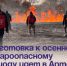 Подготовка к осеннему пожароопасному периоду идет в Артёме. - Администрация Артёмовского городского округа