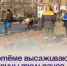 В Артёме высаживают луковицы тюльпанов. - Администрация Артёмовского городского округа