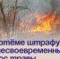 В Артёме штрафуют за несвоевременный покос травы. - Администрация Артёмовского городского округа