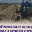Артёмовские аграрии подвели итоги сезона. - Администрация Артёмовского городского округа