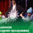 Насыщенная новогодняя  программа  подготовлена для артёмовцев. - Администрация Артёмовского городского округа
