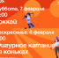 Ледовая феерия «Хоккей & Грация» пройдёт на выходных в Ледовой арене . - Администрация Артёмовского городского округа