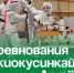 Соревнования по киокусинкай прошли в Артёме. - Администрация Артёмовского городского округа