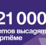 121 000 цветов высадят в Артёме. - Администрация Артёмовского городского округа