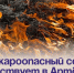 Пожароопасный сезон действует в Артёме. - Администрация Артёмовского городского округа