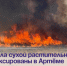 44 пала сухой растительности зафиксированы в Артёме в этом году. - Администрация Артёмовского городского округа