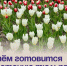 Артём готовится к цветению тюльпанов. - Администрация Артёмовского городского округа