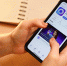 МАХ для бизнеса: Приморские предприниматели смогут воспользоваться специальным расширением национального мессенджера для эффективной работы, сообщает  www.primorsky.ru. - Администрация Артёмовского городского округа