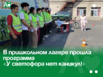 В пришкольном лагере прошла программа «У светофора нет каникул!».
